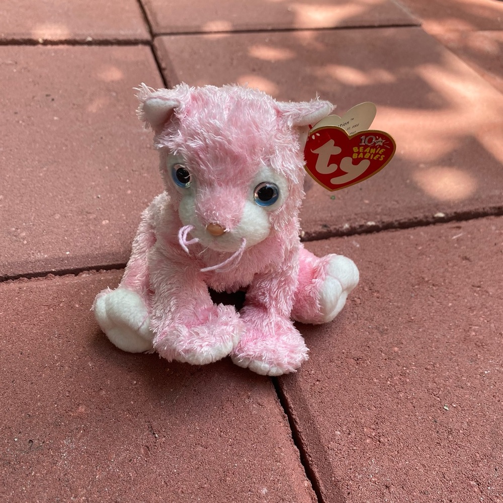 TY Beanie Babies Vintage 2002 Carnation(2 for $20)
